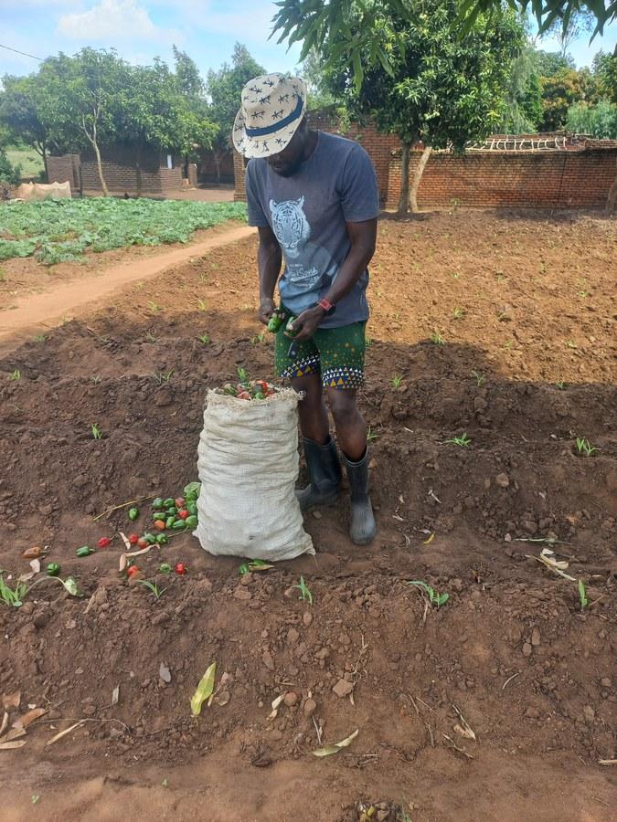 Community planting day