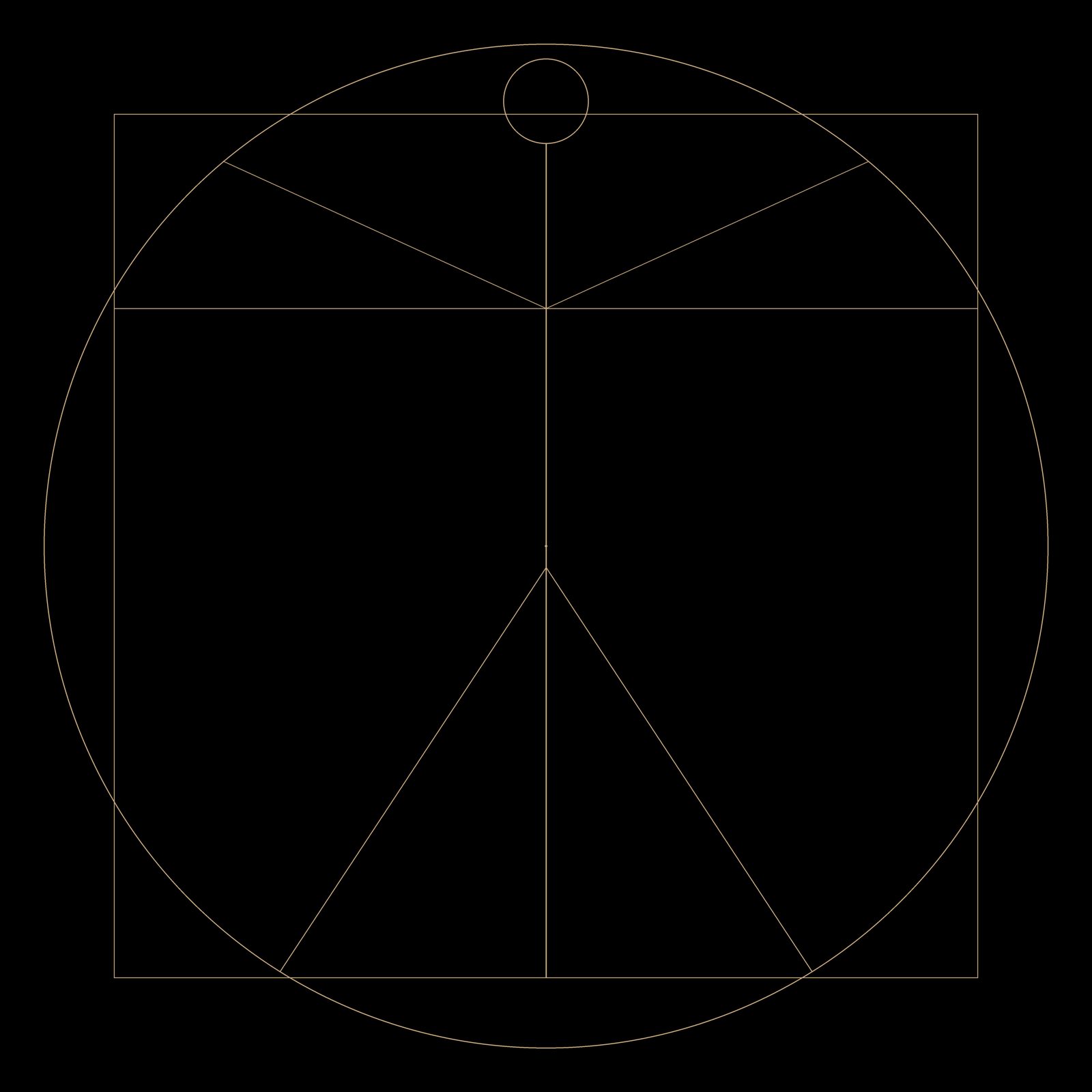 The Vitruvian Man assembled across all 6 Series III front covers