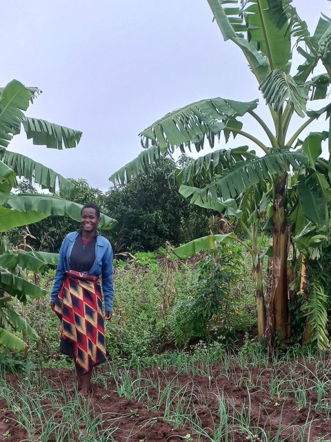 Mrs Sandikonda
